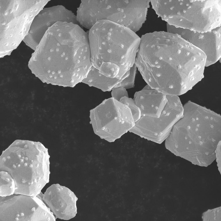 Tungsten metal powder under the electron microscope